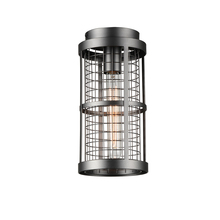 CWI Lighting 9930C6-1-209 - Manito 1 Light  Flush Mount With Pewter Finish